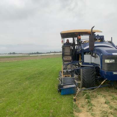 Trilo Multistacker Turf Harvester